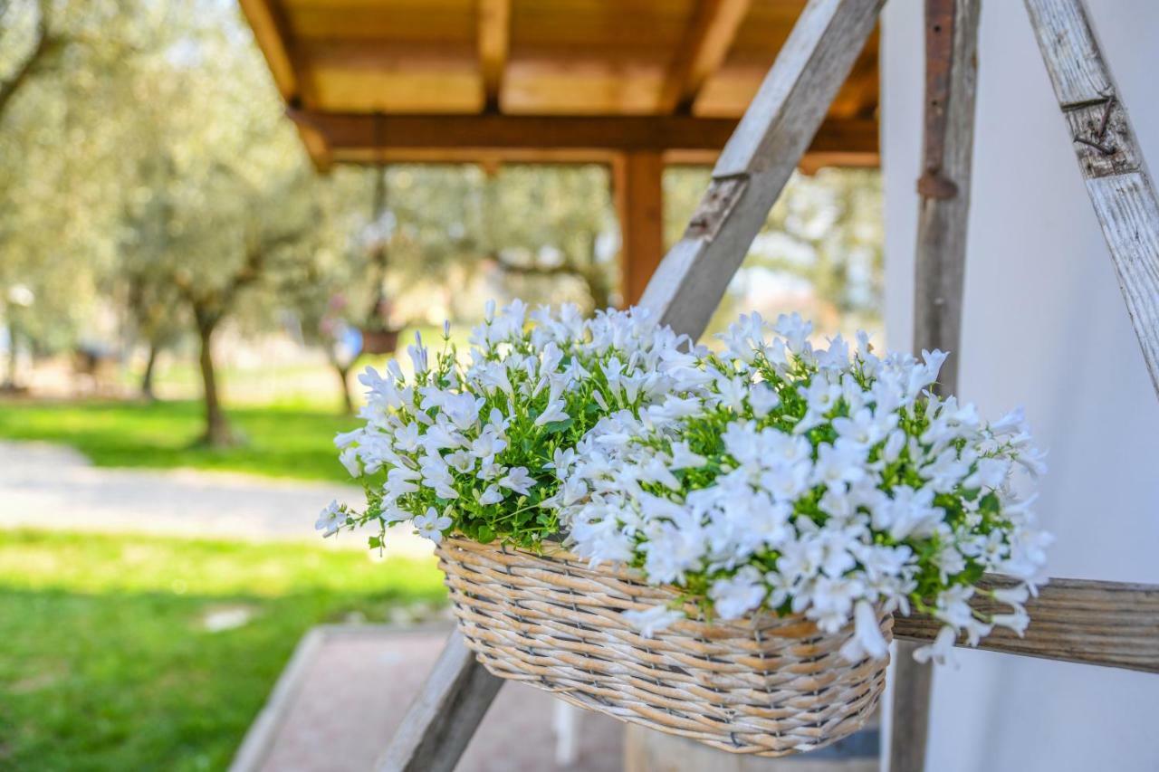 Agritur Fiore D'Ulivo Riva del Garda Exterior photo